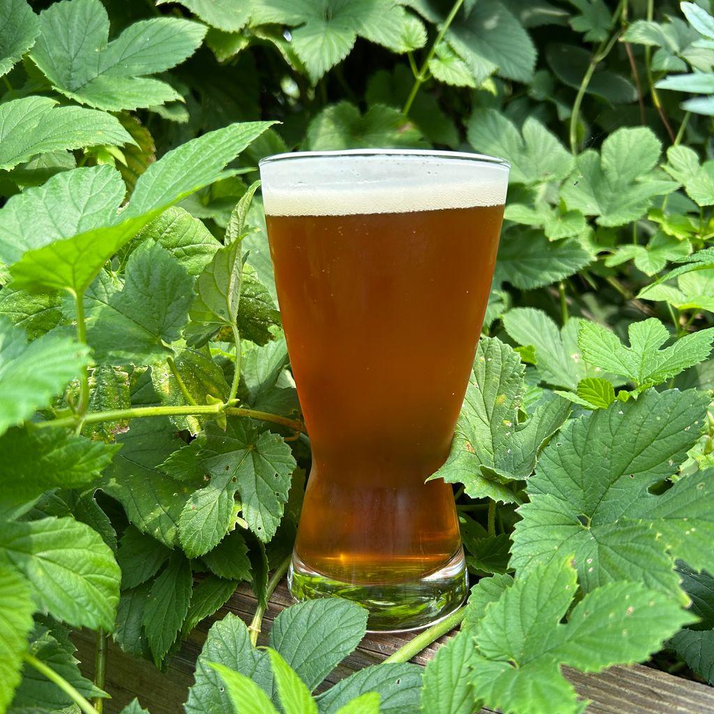 Fenton Winery & Brewery Poker Game Pale Ale