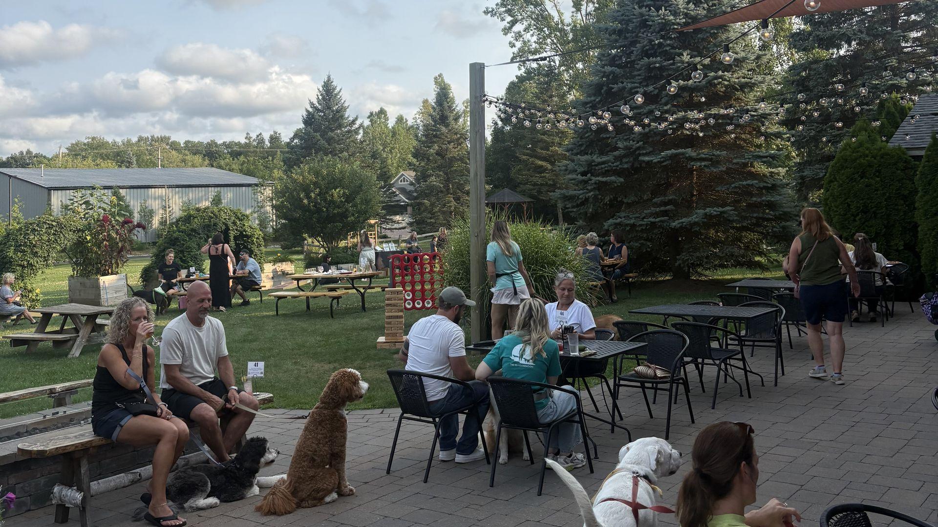 Dogs and their owners enjoying FWB's outdoor garden patio space